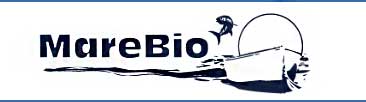 Mare Bio